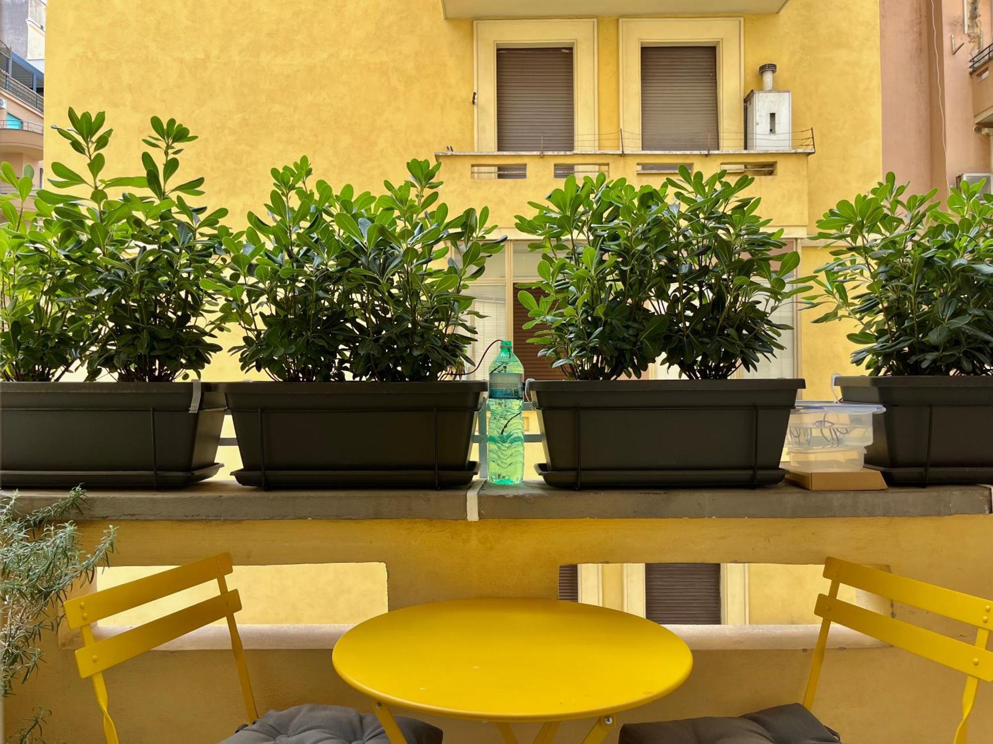 Appartement - Belle Maison